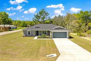 22 Malauka Run Ln, Ocklawaha, FL 32179 - Photo 47