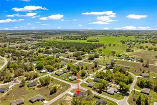 22 Malauka Run Ln, Ocklawaha, FL 32179 - Photo 45