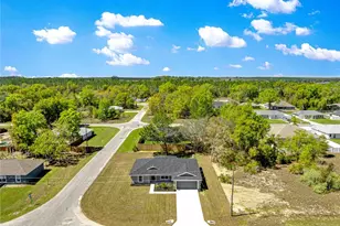 22 Malauka Run Ln, Ocklawaha, FL 32179 - Photo 41