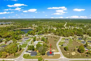 22 Malauka Run Ln, Ocklawaha, FL 32179 - Photo 43