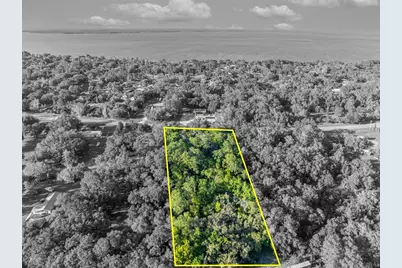 Tbd County Road 48, Yalaha, FL 34797 - Photo 7