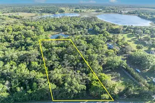 Tbd County Road 48, Yalaha, FL 34797 - Photo 1