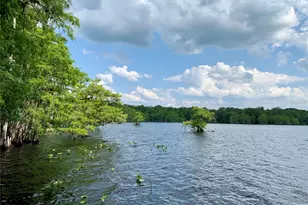 41180 Balsam St, Eustis, FL 32736 - Photo 55