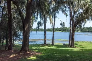 Tbd Lot 01000 Silver Dr, Umatilla, FL 32784 - Photo 47