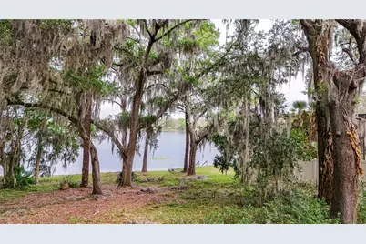 Tbd Lot 01000 Silver Drive, Umatilla, FL 32784 - Photo 49