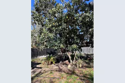 10731 Libby Number 3 Road, Clermont, FL 34715 - Photo 53