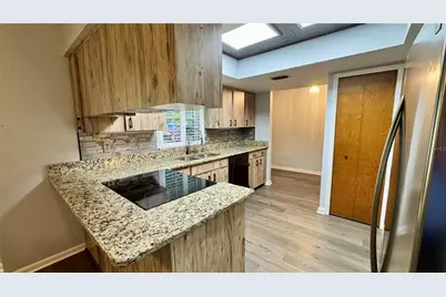 1920 Cr-19A, Eustis, FL 32726 - Photo 9