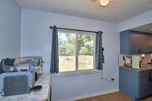 3654 Opal Dr, Mulberry, FL 33860 - Photo 39