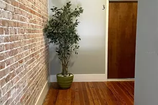 29 E Magnolia Ave, Eustis, FL 32726 - Photo 3