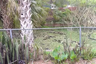 1637 Cr 434, Lake Panasoffkee, FL 33538 - Photo 9