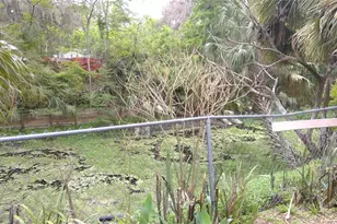 1637 Cr 434, Lake Panasoffkee, FL 33538 - Photo 7