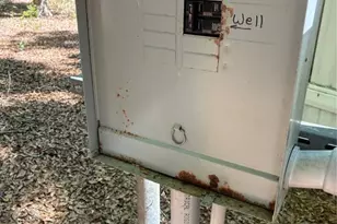 24533 Pink Panther Rd, Paisley, FL 32767 - Photo 7