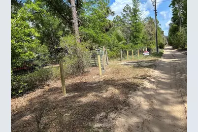 24533 Pink Panther Road, Paisley, FL 32767 - Photo 3