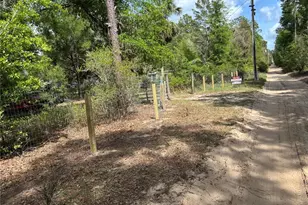 24533 Pink Panther Rd, Paisley, FL 32767 - Photo 3