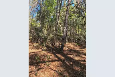 24533 Pink Panther Road, Paisley, FL 32767 - Photo 3