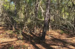 24533 Pink Panther Rd, Paisley, FL 32767 - Photo 3