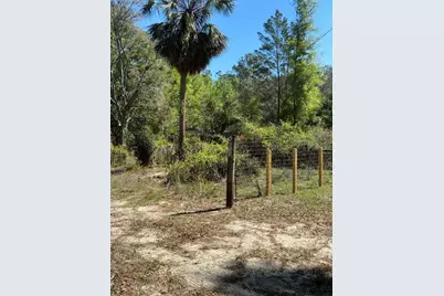 24533 Pink Panther Road, Paisley, FL 32767 - Photo 29