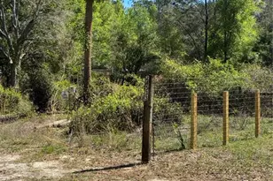24533 Pink Panther Rd, Paisley, FL 32767 - Photo 29
