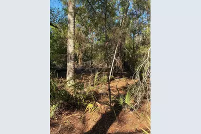 24533 Pink Panther Road, Paisley, FL 32767 - Photo 5