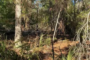 24533 Pink Panther Rd, Paisley, FL 32767 - Photo 5