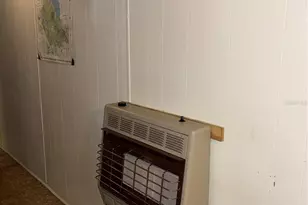 24533 Pink Panther Rd, Paisley, FL 32767 - Photo 11