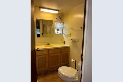 24533 Pink Panther Road, Paisley, FL 32767 - Photo 11