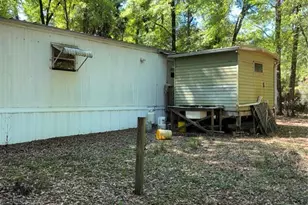 24533 Pink Panther Rd, Paisley, FL 32767 - Photo 5
