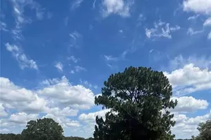 105 E Samuel Ct, Hernando, FL 34442 - Photo 1