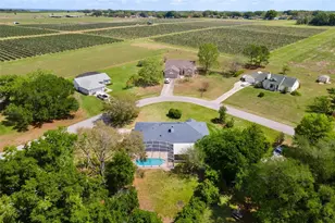 12130 Nest Ct, Grand Island, FL 32735 - Photo 65