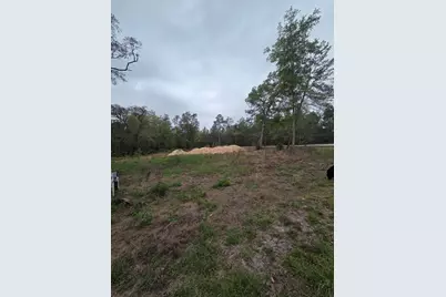127 Sequoia Trail, Ocklawaha, FL 32179 - Photo 5