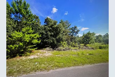 Sw 41st Court, Ocala, FL 34473 - Photo 3