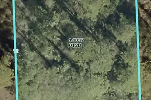 1103 East 11th Street, Lehigh Acres, FL 33972 - Photo 1