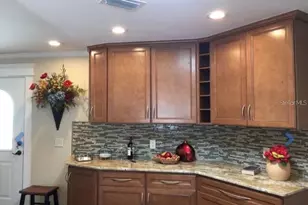 1041 Reidville Rd, The Villages, FL 32162 - Photo 3