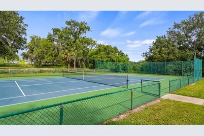 7351 Spring Mountain Lane, Yalaha, FL 34797 - Photo 67