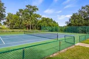 7351 Spring Mountain Ln, Yalaha, FL 34797 - Photo 67