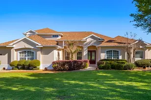 7351 Spring Mountain Ln, Yalaha, FL 34797 - Photo 1