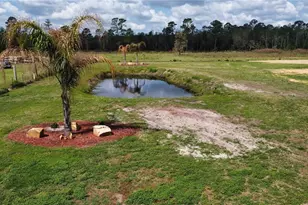 2307 State Road 33, Clermont, FL 34714 - Photo 11