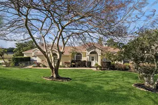 16941 Magnolia Island Blvd, Clermont, FL 34711 - Photo 79