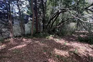 13147 Suburban Terrace, Winter Garden, FL 34787 - Photo 33