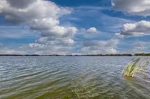 5616 Trimble Park Rd, Mount Dora, FL 32757 - Photo 21