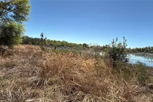 9844 Poe St, Leesburg, FL 34788 - Photo 13