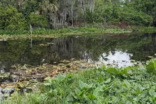 634 Misti Dr, Leesburg, FL 34788 - Photo 47