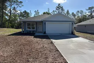 11127 N Trigger Terrace, Dunnellon, FL 34433 - Photo 1