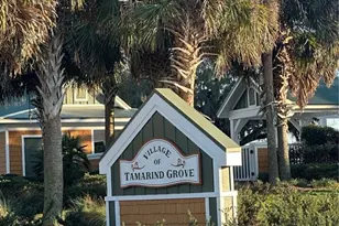 2427 Tamarind Grove Run, The Villages, FL 32162 - Photo 3