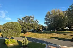 2427 Tamarind Grove Run, The Villages, FL 32162 - Photo 9