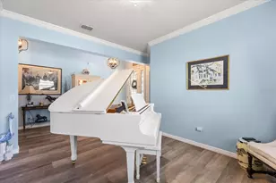 30231 Hackney Loop, Mount Dora, FL 32757 - Photo 29