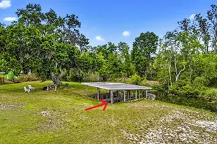 34618 S Haines Creek Rd, Leesburg, FL 34788 - Photo 19