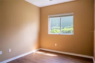 3103 Anquilla Ave, Clermont, FL 34711 - Photo 17