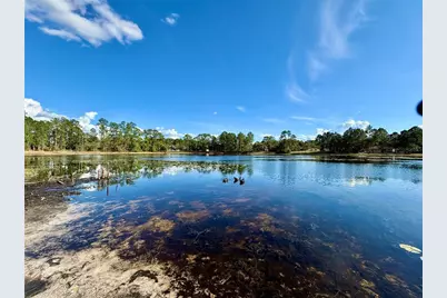 41722 Poinciana Street, Eustis, FL 32736 - Photo 37