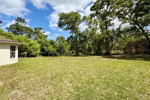 41722 Poinciana St, Eustis, FL 32736 - Photo 31
